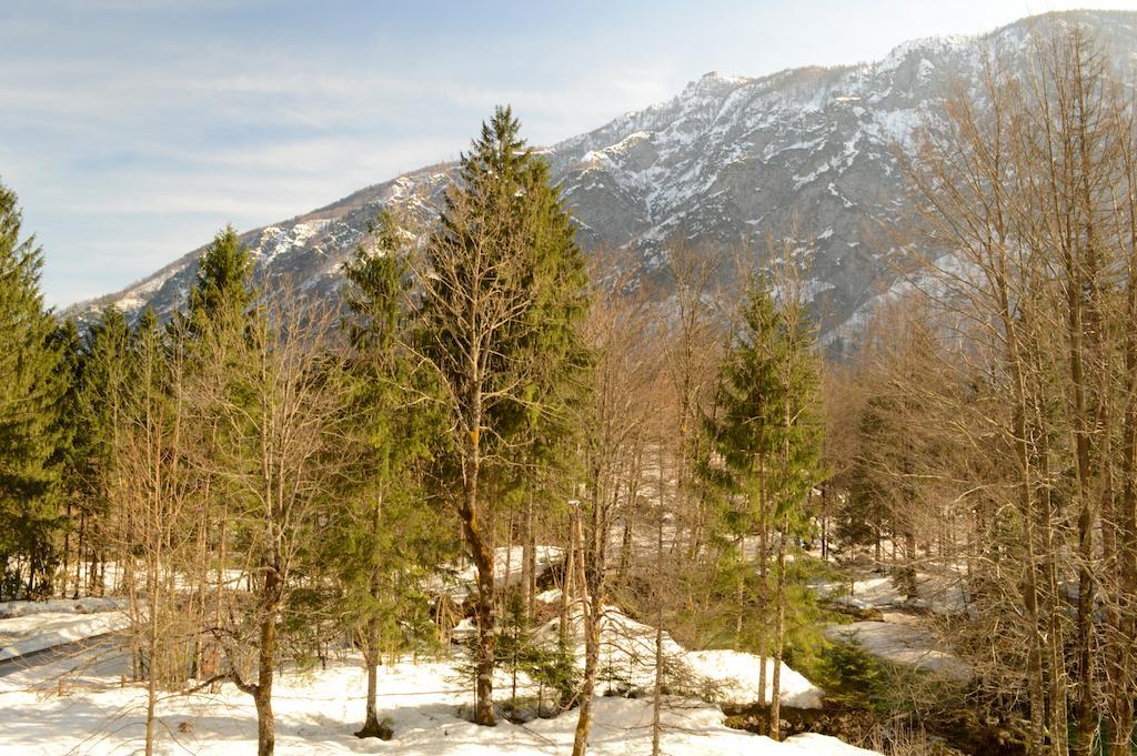 Vila Park B&B - Adults Only Bohinj Exterior photo